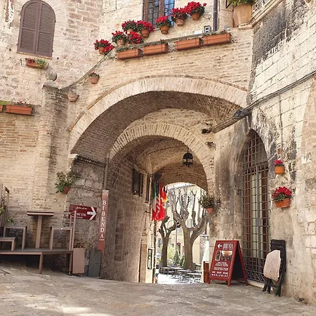 La Perla Di Tamara-assisi Blu *