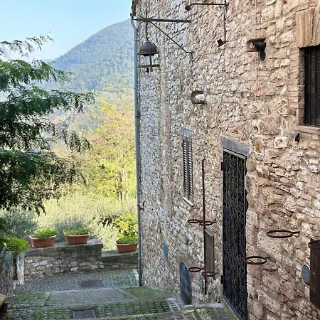 La Perla Di Tamara-assisi Blu *