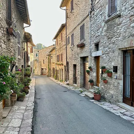 La Perla Di Tamara-assisi Blu *